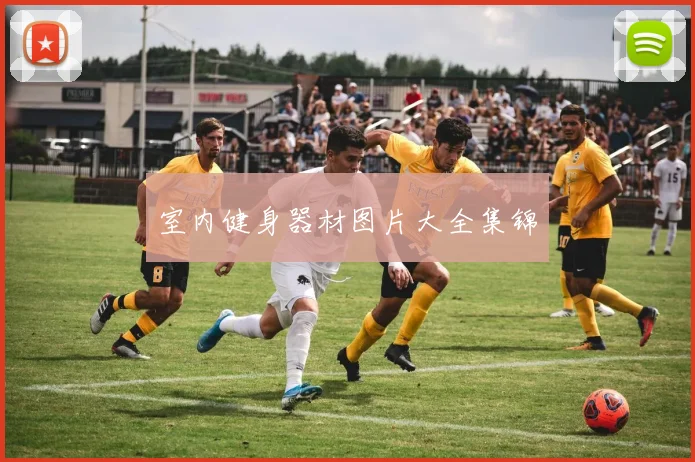 室内健身器材图片大全集锦