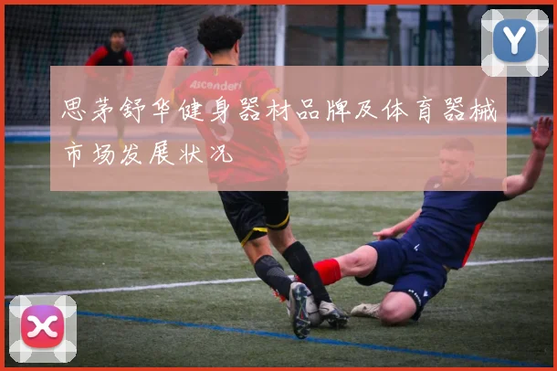 思茅舒华健身器材品牌及体育器械市场发展状况